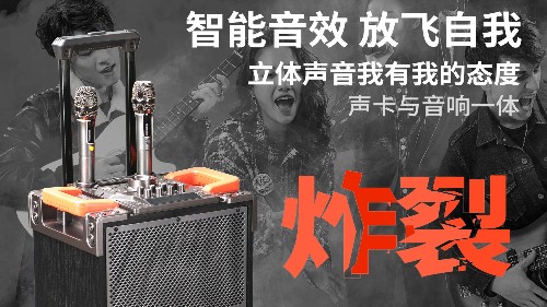 爵士龍F(tuán)110音響，直播與聚會的首選！
